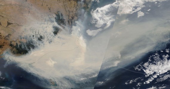 Brytyjscy naukowcy włączają się w dyskusję na temat klimatycznych uwarunkowań fali pożarów w Australii. Na platformie internetowej ScienceBrief.org publikują przeglądową pracę, analizującą wyniki badań tego zagadnienia ogłoszone w publikacjach naukowych od 2013 roku. Ich zdaniem analiza prowadzi do wniosku, że obserwowane obecnie zmiany klimatyczne zwiększają ryzyko tych pożarów. Zwracają przy tym uwagę, że odpowiednia gospodarka terenami pokrytymi dziką roślinnością może to ryzyko ograniczyć. Wpływ klimatu na ryzyko pożarów nie jest oczywiście niespodzianką, autorzy tej pracy podkreślają jednak, że chodzi im o zmiany klimatyczne wywołane przez człowieka.