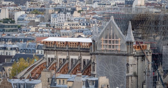 Zaostrzono nocną ochronę paryskiej katedry Notre-Dame po wtargnięciu na jej teren grupy młodych ludzi. Ci ostatni dostali się do stojącego obok świątyni 75-metrowego dźwigu, by sfilmować roztaczający się z jego kabiny widok. „Na szczęście nie chodziło o terrorystów!” – komentują obserwatorzy.