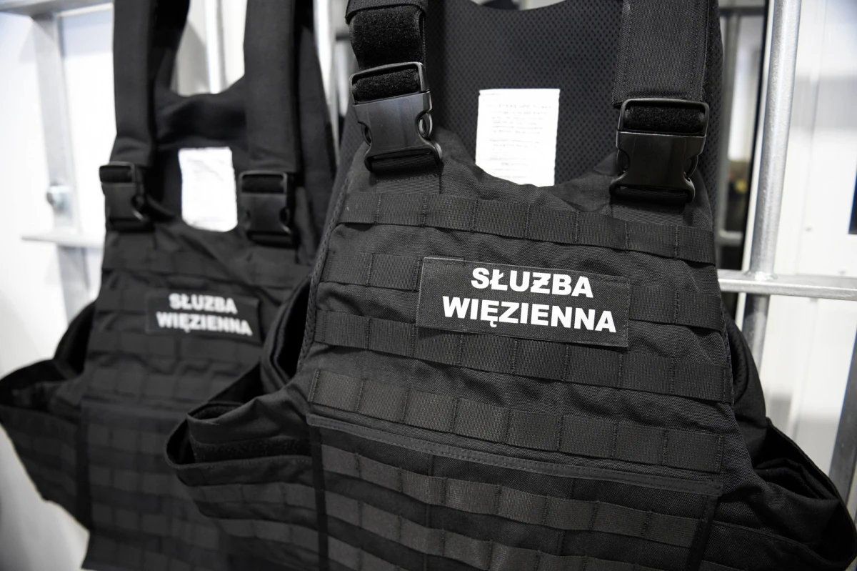 Płk Artur Dziadosz, zastępca Dyrektora Generalnego Służby Więziennej kierował samochodem, który 4 listopada ub. roku w Kozienicach potrącił na pasach kobietę -informuje Onet. Jak przypomina portal, starsza kobieta trafiła do szpitala. Lekarzom nie udało jej się uratować. 