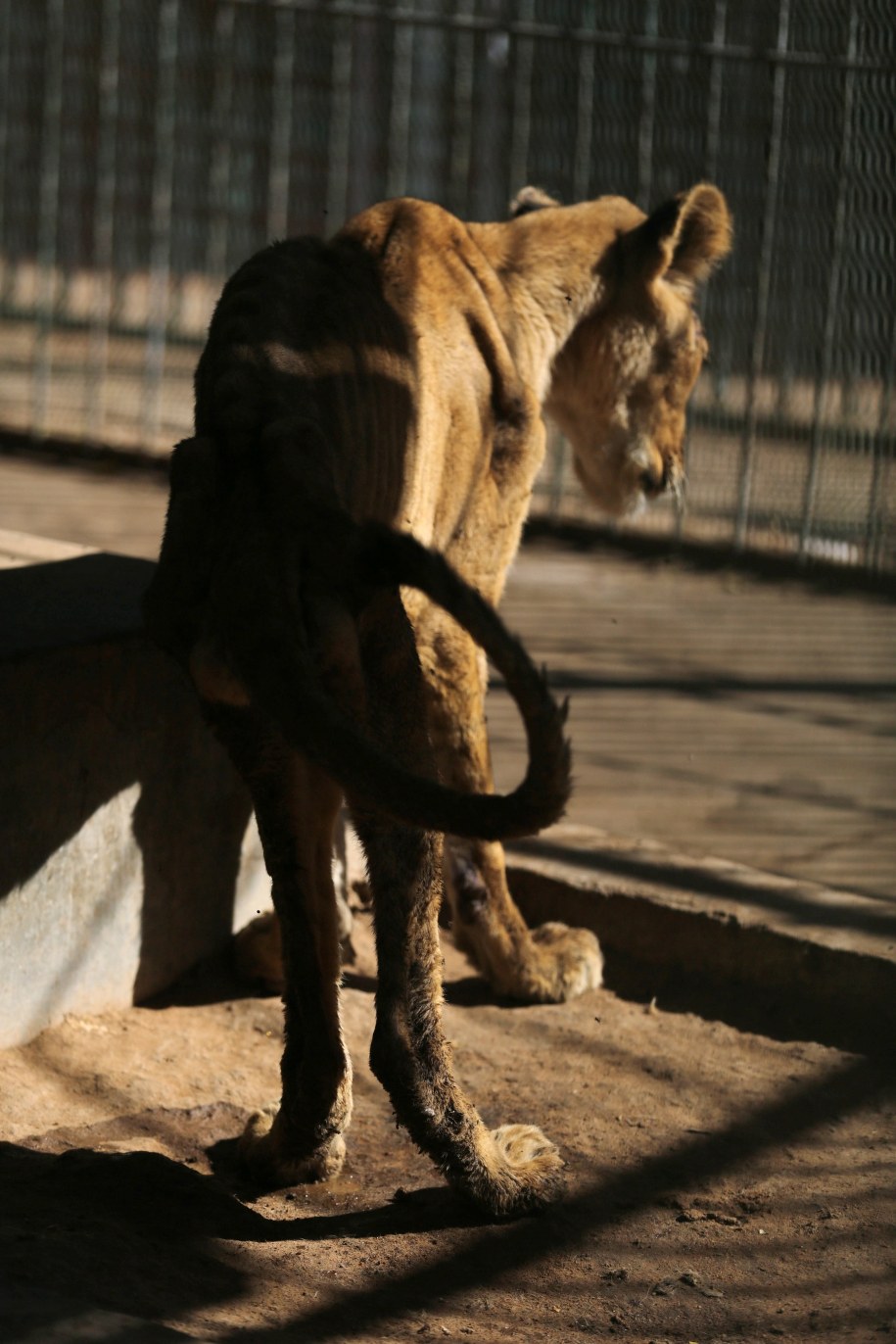 /MORWAN ALI /PAP/EPA