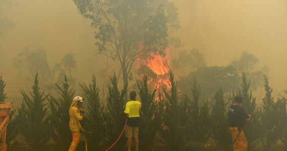 Trzy osoby zginęły w czwartek w katastrofie samolotu gaśniczego uczestniczącego w walce z pożarami lasów w australijskim stanie Nowa Południowa Walia - poinformował Shane Fitzsimmons, szef straży pożarnej na wiejskich terenach tego stanu.