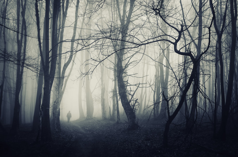 Przerażająca historia lasu w Witkowicach koło Krakowa od ponad dwóch dekad mrozi krew w żyłach okolicznych mieszkańców. W tajemniczych okolicznościach zaginęła tam grupa 9 studentów. Całe to wydarzenie na myśl przywodzi głośny amerykański film Blair Witch Project.
