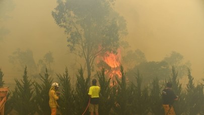 Pożary oczami Polki mieszkającej w Australii. "Trzeba myśleć, jak zlikwidować zapotrzebowanie na węgiel"
