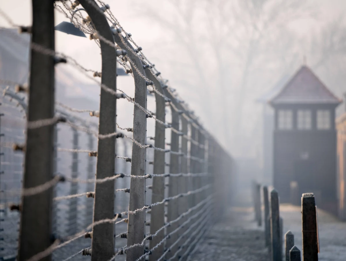 Auschwitz to symbol zagłady Żydów i Romów, martyrologii Polaków, męczeństwa sowieckich jeńców wojennych i obywateli innych okupowanych przez III Rzeszę państw Europy. Niemcy zamordowali tam najmniej 1,1 mln osób. 90 proc. ofiar to Żydzi. Nieżyjący już historyk Muzeum Auschwitz Tadeusz Iwaszko wskazywał, że były dwie kategorie deportowanych do Auschwitz: więźniowie, których wciągano do obozowej ewidencji, oraz osoby, głównie Żydzi, którzy byli mordowani wkrótce po przywiezieniu, bez rejestrowania.
Liczba zarejestrowanych więźniów sięga prawdopodobnie ok. 400 tys. Składa się na to ok. 205 tys. Żydów, ok. 130-140 tys. Polaków, ok. 21 tys. Romów, ok. 12 tys. jeńców sowieckich i ok. 25 tys. więźniów innych narodowości. Dokładne dane są niemożliwe do odtworzenia. 