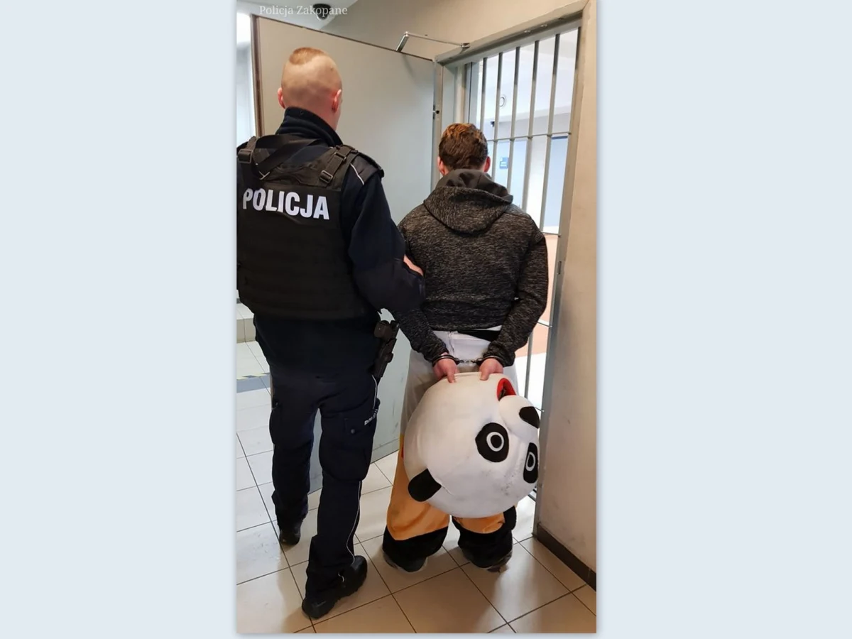 Policjanci zatrzymali młodego mężczyznę, który w przebraniu pandy zachowywał się natarczywie wobec turystów i natrętnie zachęcał do robienia z nim zdjęcia na Krupówkach w Zakopanem.