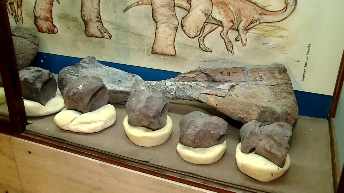 Skamieliny, które zdaniem naukowców, należą do ostatnich dinozaurów na Ziemi zostały zaprezentowane na wystawie "Koniec świata dinozaurów" w Muzeum Przyrodniczym w Buenos Aires. Fragmenty szkieletów zostały odkryte przez badaczy w pobliżu miasta El Calafate na południu Argentyny. Należą one do przedstawicieli gatunków Nullotitan glacialis i Isasicursor santacrucensis, które żyły 65-70 milionów lat temu, czyli tuż przed okresem masowego wymierania kredowego.