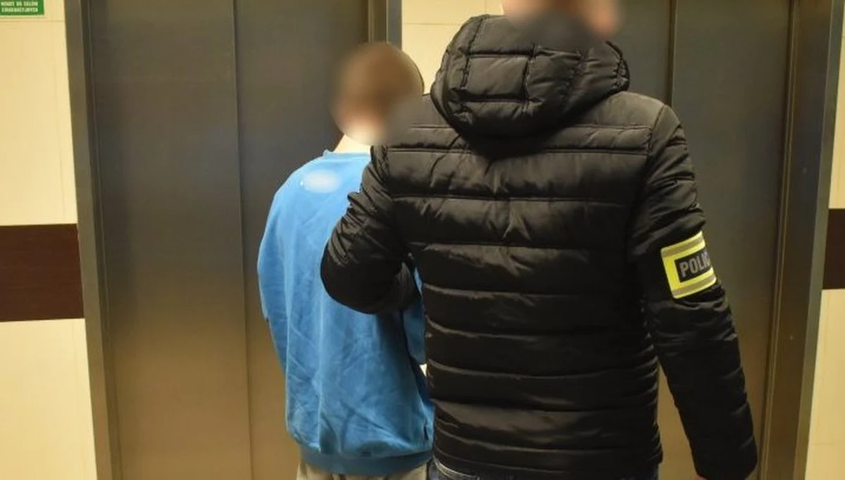 Katowiccy śledczy zatrzymali 17-latka, podejrzanego o udział w oszustwach metodą "na policjanta". Chciał on wyłudzić od 70-latka 25 tys. zł, jednak zamiast pieniędzy w przekazanej mu torbie zobaczył pocięte gazety. Chwilę później miał na rękach kajdanki. 