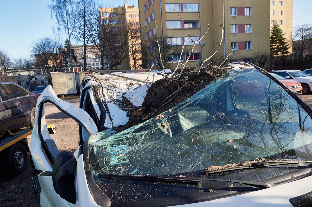 Około 70 razy strażacy interweniowali, usuwając skutki silnego wiatru w województwie pomorskim. Ściągali połamane drzewa z uszkodzonych samochodów, dróg i chodników. Nikt nie odniósł obrażeń. Wichura spowodowała również przerwy w dostawie prądu oraz utrudnienia w funkcjonowaniu komunikacji zbiorowej.