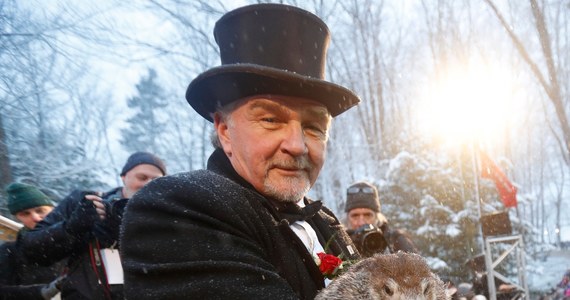 Wiosna w Stanach Zjednoczonych nadejdzie szybko - po wyjściu w niedzielę ze swojej norki najsłynniejszy amerykański świstak Phil z miejscowości Punxsutawney w Pensylwanii nie zobaczył swojego cienia.