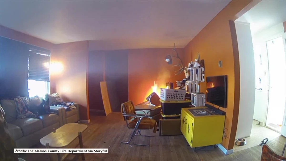 Dwa psy z Los Alamos w Nowym Meksyku w USA wywołały pożar domu. Podczas zabawy jeden z nich przewrócił deskę do prasowania, która zaczęła topić się nad kratką grzewczą. 
