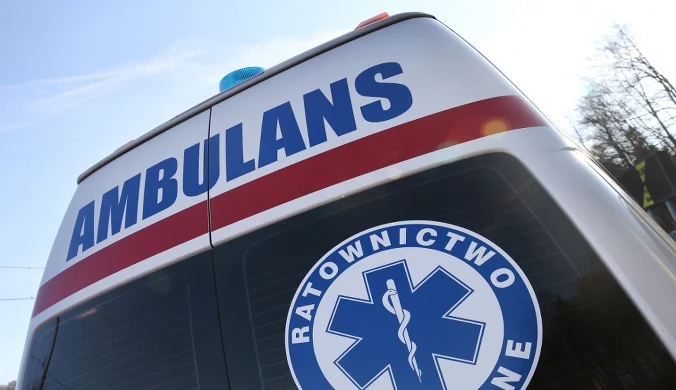 Zmarł 12-latek pogryziony przez psa