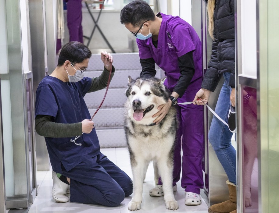 /ALEX PLAVEVSKI /PAP/EPA