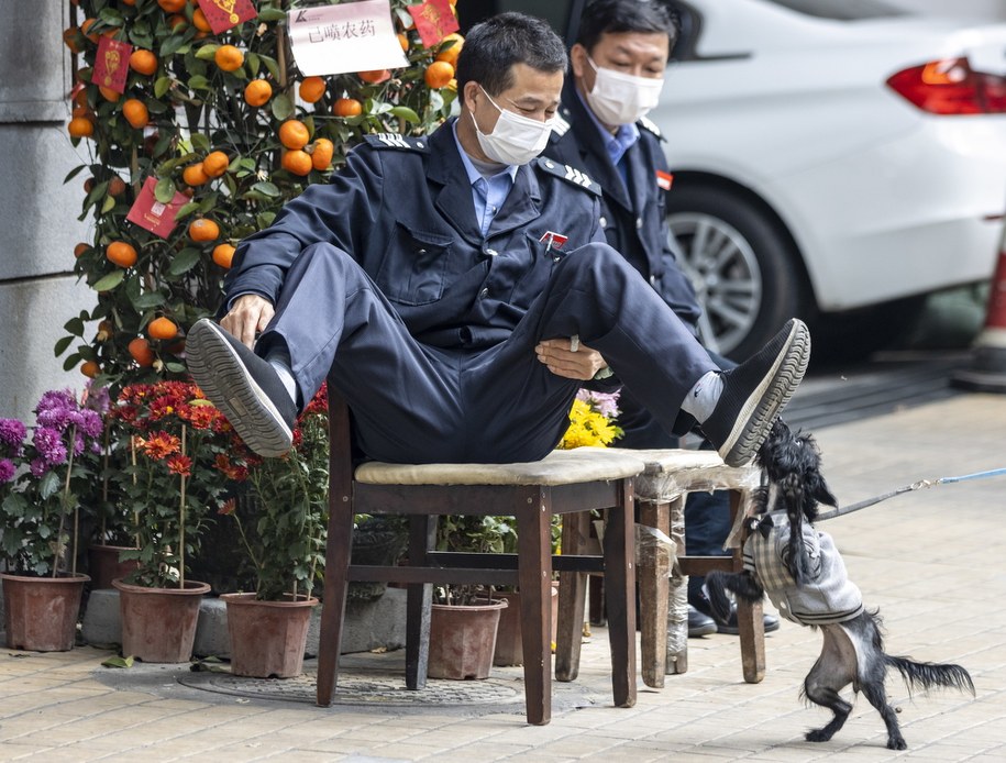 /ALEX PLAVEVSKI /PAP/EPA