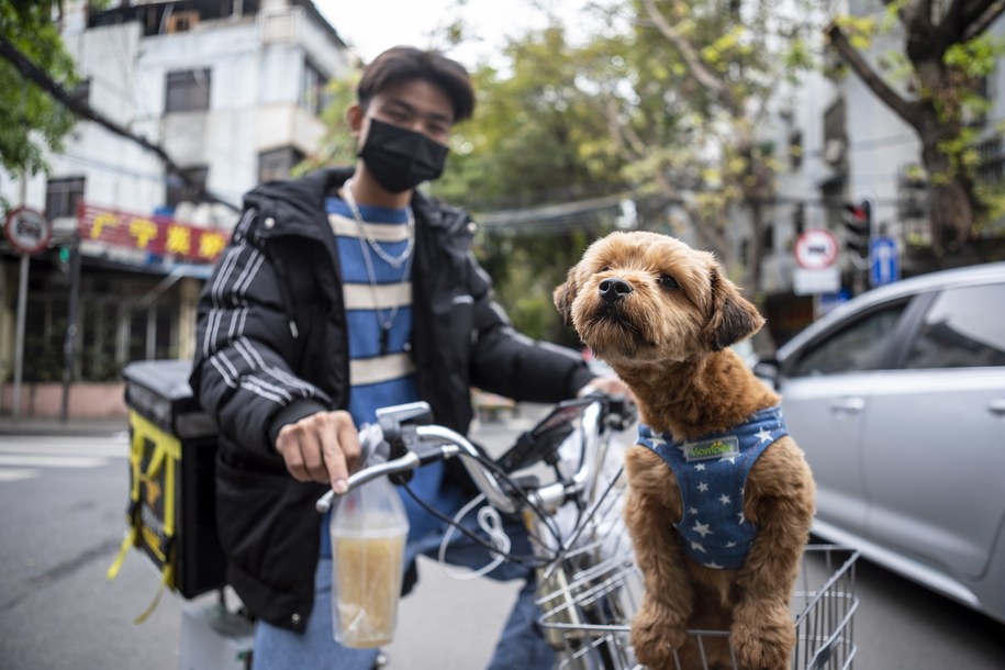 /ALEX PLAVEVSKI /PAP/EPA