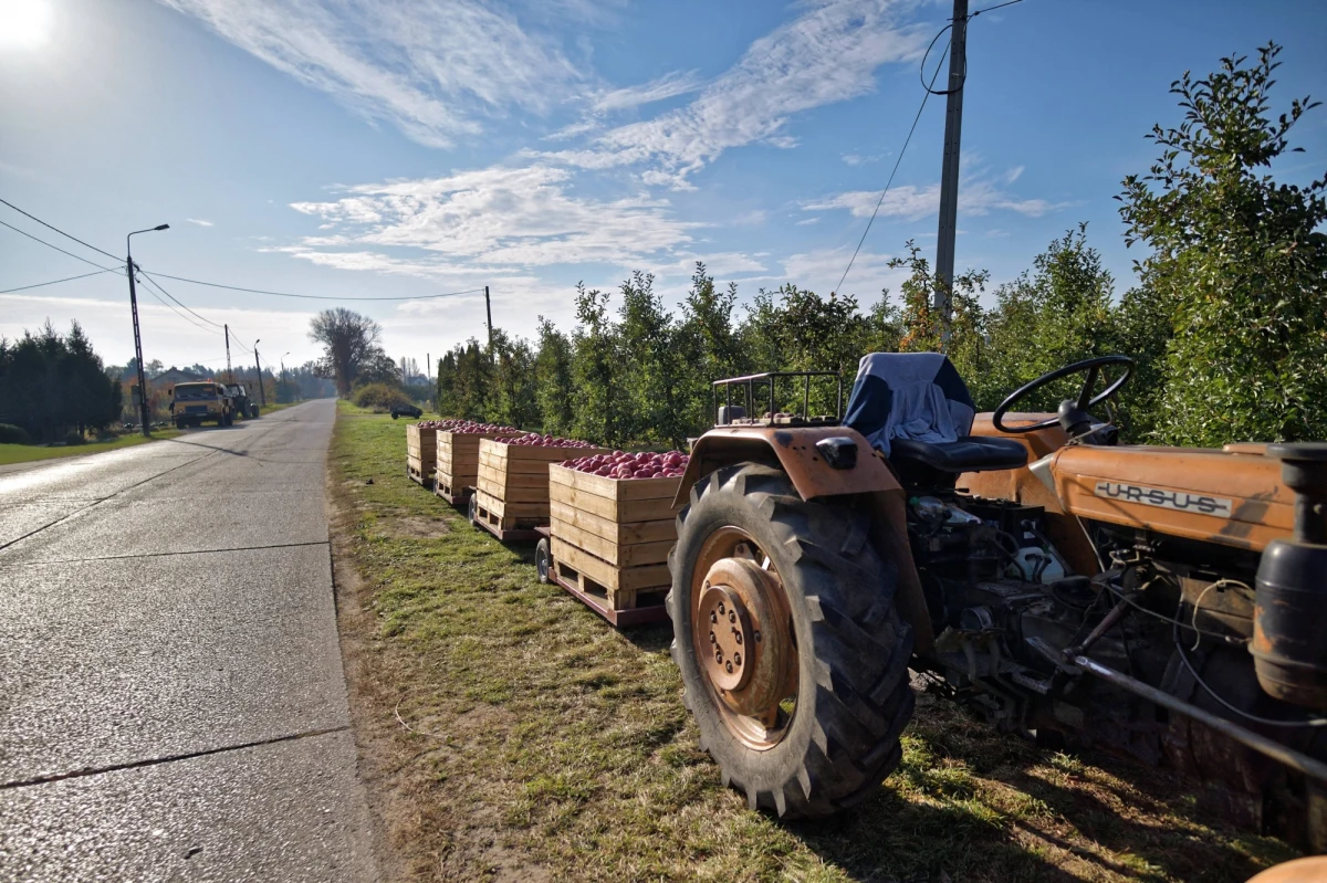 Krajowy Ośrodek Wsparcia Rolnictwa zajął produkty i sprzęt firmy Eskimos, która na polecenie resortu rolnictwa prowadziła interwencyjny skup jabłek - dowiedział się reporter RMF FM. Spółka na tak zwany program stabilizacji cen jabłek dostała od państwa 100 milionów złotych kredytu, którego nie oddała. Termin minął latem. 