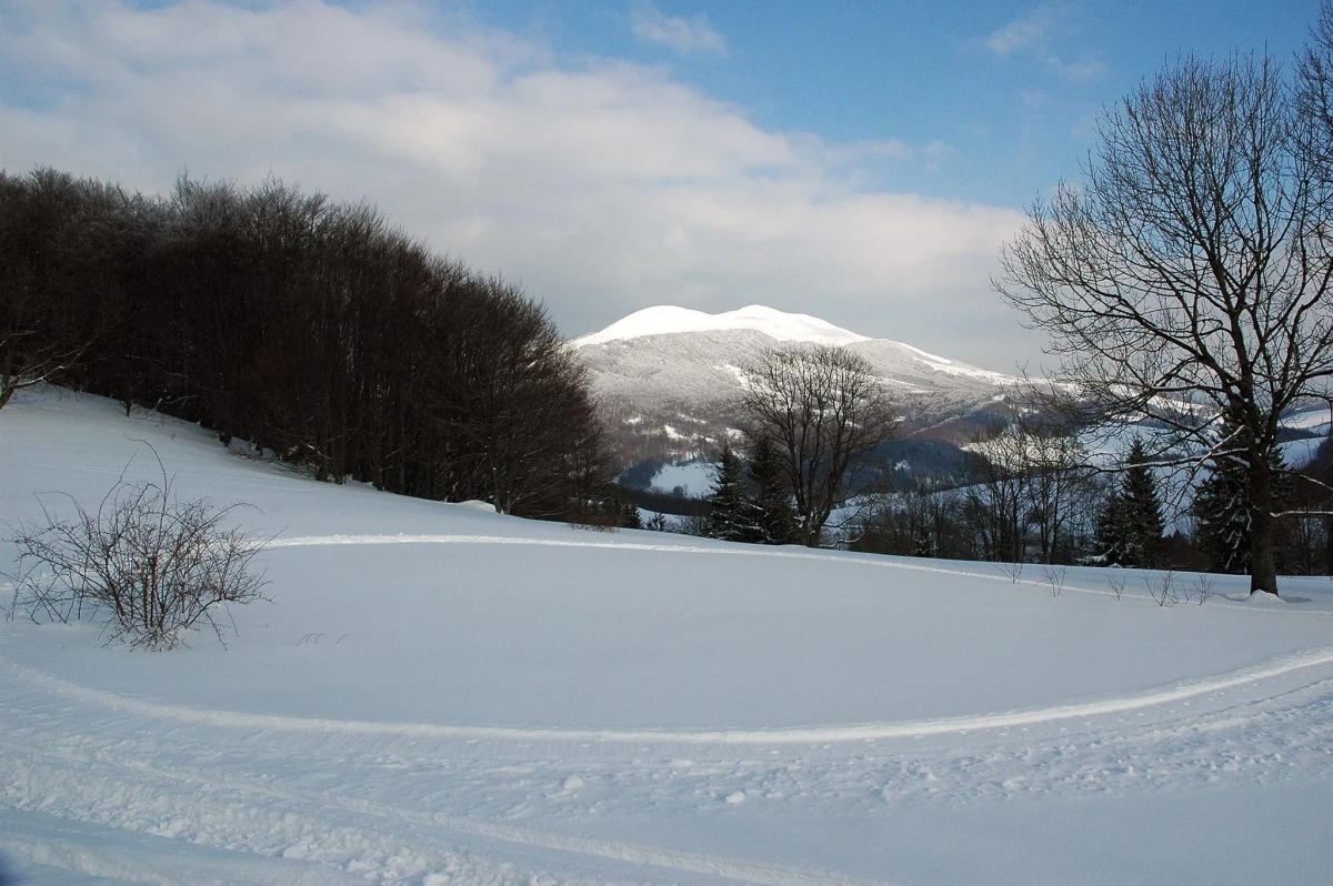 Trwa ewakuacja dwójki turystów z Połoniny Caryńskiej w Bieszczadach. "W akcji ratowniczej bierze udział 16 ratowników" - powiedział zastępca naczelnika bieszczadzkiej grupy GOPR Jakub Dąbrowski.