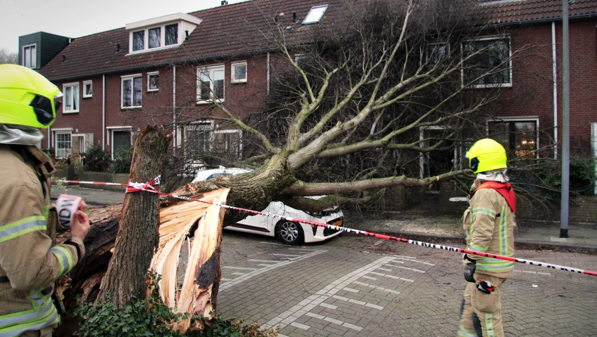 Sztorm Ciara nazywany w Niemczech orkanem Sabine, który nadciągnął nad kraje Europy północnej, spowodował perturbacje komunikacyjne; odwołano wiele lotów a w Niemczech zawieszono też część połączeń kolejowych. Na północy Francji wiatr osiąga prędkość 130 km/h, w Walii nawet 150 km/h.