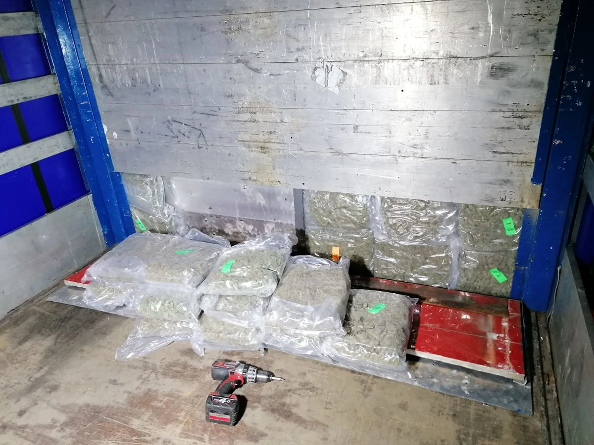 Wspólne działanie służb polskich i hiszpańskich doprowadziło do zlikwidowania w Hiszpanii 18 plantacji konopi, gdzie rosło ponad 14,5 tys. krzewów. Przejęto także 270 kg marihuany, 25 kg haszyszu, kokainę oraz broń. Zatrzymano 63 osób: Polaków, Hiszpanów, Marokańczyków i Litwinów. 