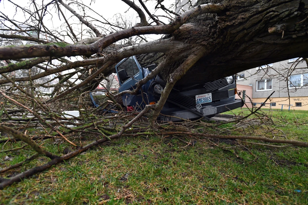 1100 razy w całej Polsce interweniowali od wczoraj strażacy w związku z silnym wiatrem. Najwięcej pracy mieli na Pomorzu i Dolnym Śląsku.