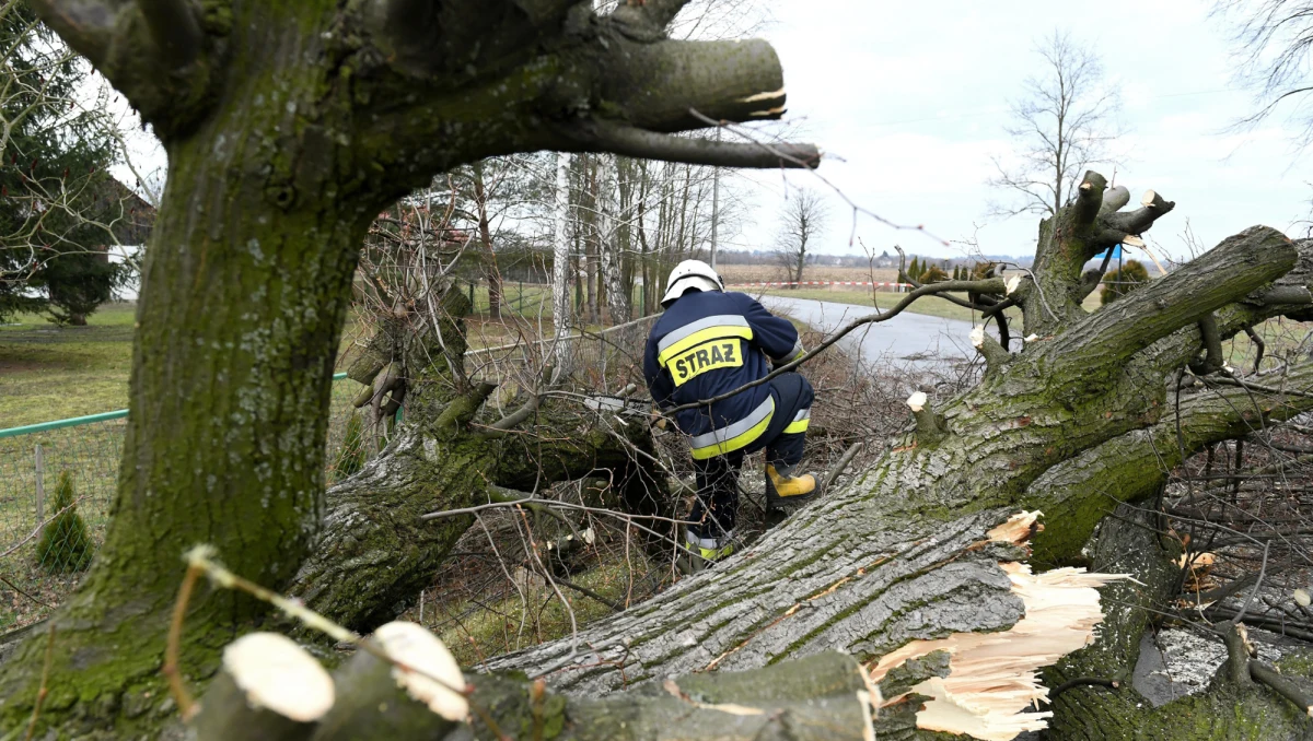 55 tysięcy gospodarstw domowych w całej Polsce wciąż nie ma prądu przez silny wiatr, który od wczoraj przechodzi nad naszym krajem.