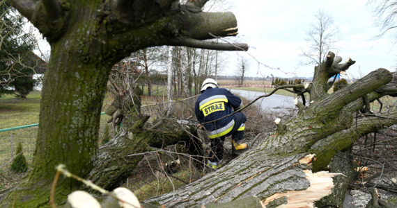 55 tysięcy gospodarstw domowych w całej Polsce wciąż nie ma prądu przez silny wiatr, który od wczoraj przechodzi nad naszym krajem.