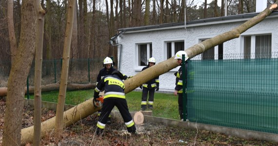 Instytut Meteorologii i Gospodarki Wodnej ostrzega przed silnym wiatrem w województwach opolskim, dolnośląskim, wielkopolskim, lubuskim, zachodniopomorskim i w północnych powiatach województwa pomorskiego. Prędkość wiatru może wynieść w porywach do 90 km/h.