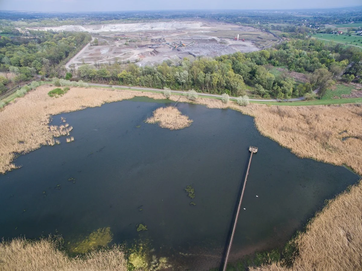 W próbkach gruntu obok składowisk przy ul. Dymarek w Krakowie stwierdzono m.in. 137-krotne przekroczenia dopuszczalnych wartości pestycydami i prawie 40-krotne WWA  ( wielopierścieniowych węglowodorów aromatycznych). W wodach podziemnych natomiast odnotowano przekroczenia m.in. manganu, arsenu i fenoli. Te ostatnie, czyli fenole według dr Mariusza Czopa z AGH są przekroczone i to znacznie. „W największym stężeniu i absolutnie katastrofalnym występują fenole, które przekraczają dopuszczalne normy 400 razy, czy nawet 500 razy” – wyjaśnia. 