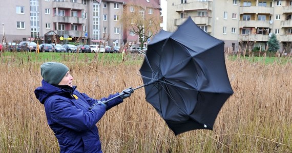 IMGW wydało ostrzeżenie pierwszego stopnia przed silnym wiatrem dla kilku regionów. Alert dotyczy górskich powiatów województw: śląskiego, małopolskiego oraz podkarpackiego.