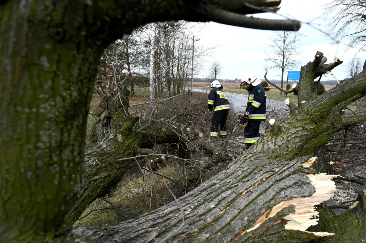 W sobotę huragan Dennis uderzy w Wyspy Brytyskie, w kolejnych godzinach jego skutki odczujemy również w Polsce. Dennis nie będzie tak silny jak siejące spustoszenie w ostatnich dniach Ciara i Sabina. Prędkość wiatru nie powinna przekraczać 100 km na godzinę.