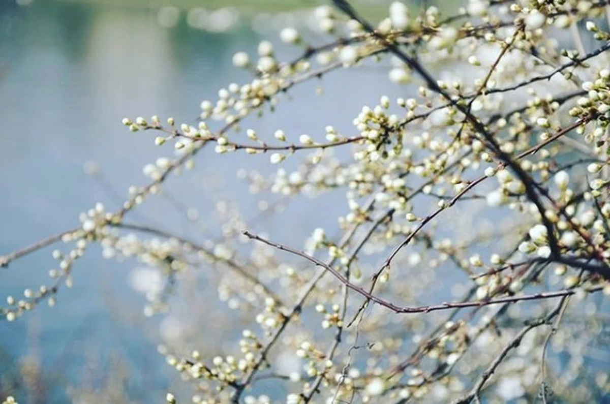 Dziś poczujemy silny powiew wiosny! W Krakowie na termometrach zobaczymy nawet 15 stopni Celsjusza. Ciepło będzie też w pozostałych regionach Polski. 