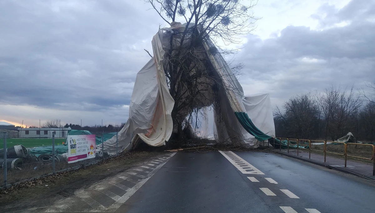 Strażacy próbują usunąć namiot pneumatyczny hali sportowej, który został zerwany w wyniku silnego podmuchu wiatru. Namiot od kilku godzin blokuje jedną z dróg powiatowych w Łajskach w powiecie legionowskim. 