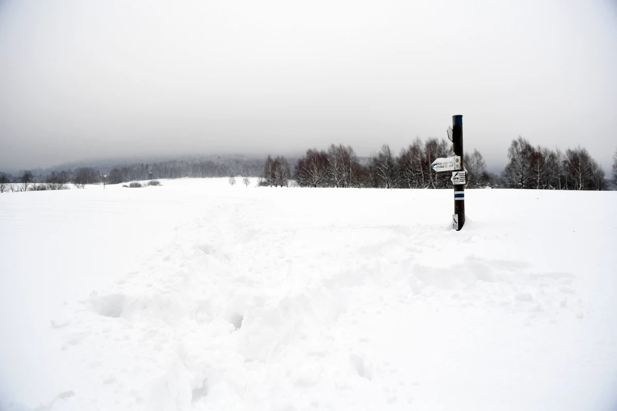 Ratownicy grupy beskidzkiej GOPR ogłosili w piątek wieczorem drugi stopień zagrożenia lawinowego na Babiej Górze. W ostatnich 48 godzinach spadło tam ponad 20 cm śniegu. Wieje bardzo silny wiatr. Ratownicy określają aktualne zagrożenie jako umiarkowane.