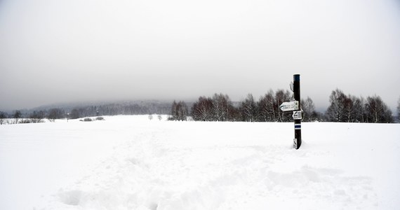 Ratownicy grupy beskidzkiej GOPR ogłosili w piątek wieczorem drugi stopień zagrożenia lawinowego na Babiej Górze. W ostatnich 48 godzinach spadło tam ponad 20 cm śniegu. Wieje bardzo silny wiatr. Ratownicy określają aktualne zagrożenie jako umiarkowane.