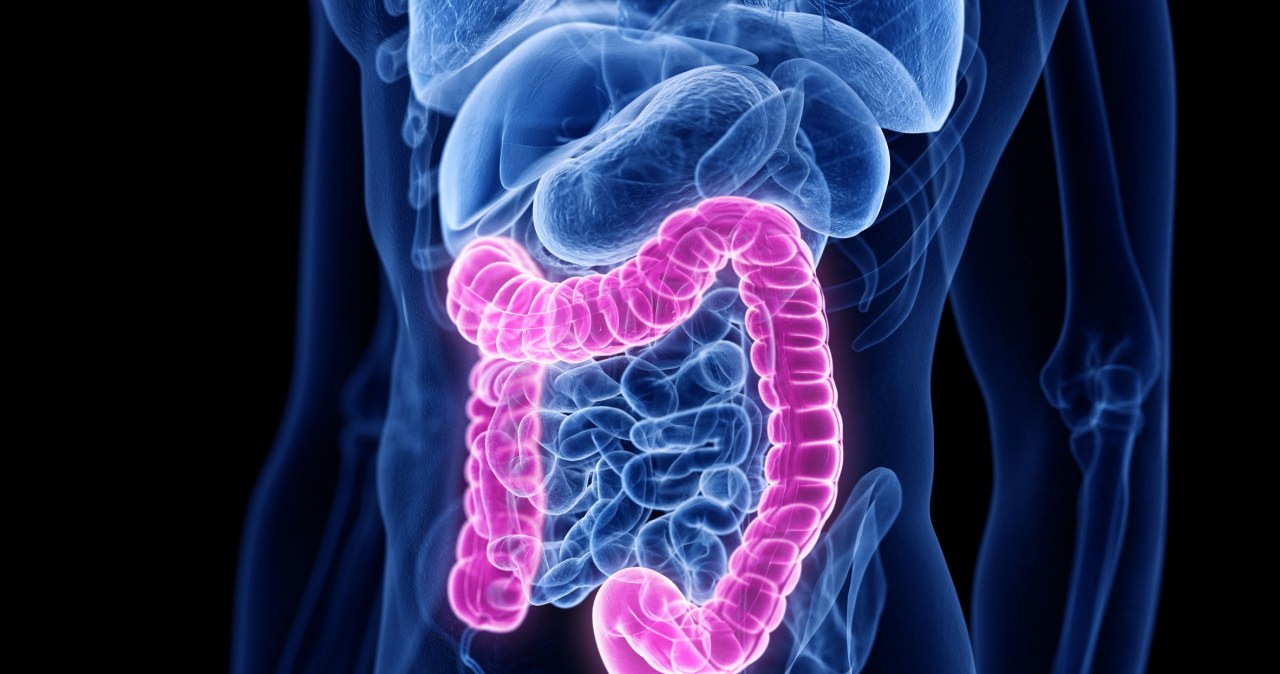 Czy sztuczna inteligencja rozleniwia lekarzy? Nowe polskie badanie szokuje