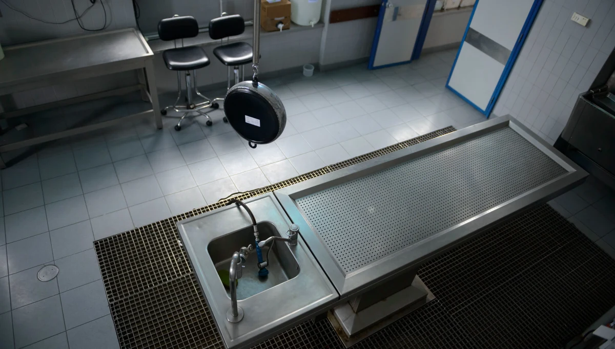 ​Pracownicy kostnicy w Petersburgu w dość nietypowy sposób postanowili uczcić Dzień Obrońców Ojczyzny. Na pracowniczą imprezę do biura zaprosili bowiem... striptizerkę. Film z wydarzenia trafił do mediów.