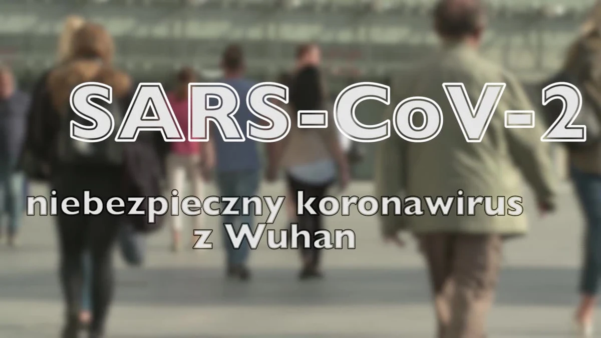 Przed koronawirusem drży cały świat. Z powodu zakażenia wirusem SARS-CoV-2 zmarło już ponad 2 tysiące osób. Obecnie nie ma żadnych bezpośrednich środków ochrony. Pamiętajmy więc o częstym i dokładnym myciu rąk oraz niedotykaniu brudnymi rękoma ust, oczu i nosa. Ile osób jest zakażonych i gdzie pojawiły się ogniska choroby?