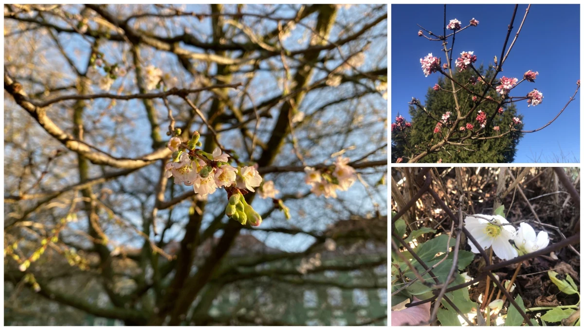 Synoptycy informują, że skończyła się najcieplejsza i najmniej śnieżna meteorologiczna zima w Polsce od czasów, kiedy prowadzi się obserwacje pogody na polskich ziemiach. 