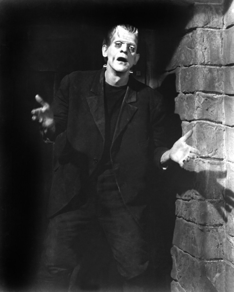 W piątek, 6 marca, do kin w całej Polsce wejdzie film Leigha Whannella "Niewidzialny człowiek". Remake klasycznego filmu grozy z 1933 roku miał już swoją premierę w zagranicznych kinach, a jego twórcy mogą cieszyć się z sukcesu kasowego i pozytywnych recenzji. Te sprawiają, że produkujące film studio Blumhouse już myśli o kolejnym remake'u. Tym razem na celowniku filmowców ma się znaleźć "Frankenstein" z 1931 roku.