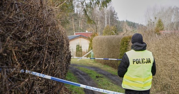 Fragment odzieży zabezpieczyli dziś policjanci prowadzący poszukiwania na terenie ogródków działkowych w Sopocie - dowiedział się nieoficjalnie reporter RMF FM. Prowadzone na zlecenie Prokuratury Krajowej działania mają związek z zaginięciem Iwony Wieczorek. To pierwszy raz, gdy ogródki działkowe w Sopocie są tak wnikliwie badane w związku z tajemniczym zaginięciem 19-latki w 2010 roku. 