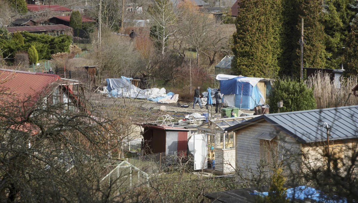 W niedzielę rano funkcjonariusze wznowili przeszukania ogródków działkowych w Sopocie ws. zaginięcia Iwony Wieczorek. Na działce jednego z kolegów dziewczyna grillowała ze znajomymi przez wyjściem do sopockiego klubu. Po opuszczeniu dyskoteki maturzystka zaginęła. 
