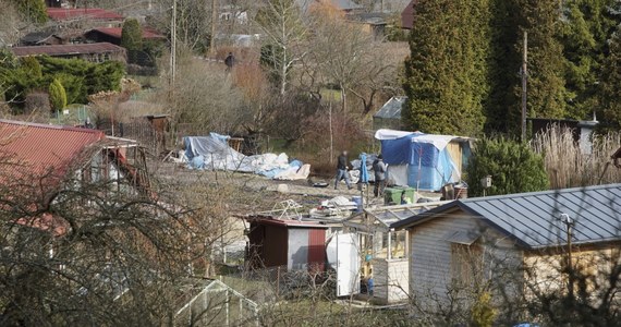 W niedzielę rano funkcjonariusze wznowili przeszukania ogródków działkowych w Sopocie ws. zaginięcia Iwony Wieczorek. Na działce jednego z kolegów dziewczyna grillowała ze znajomymi przez wyjściem do sopockiego klubu. Po opuszczeniu dyskoteki maturzystka zaginęła. 