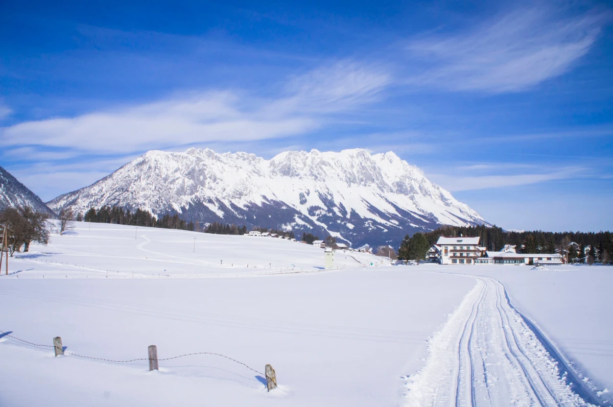 Co najmniej 6 osób zginęło pod lawinami, które zeszły w niedzielę w Alpach austriackich - poinformowała policja. Jak powiedział szef lokalnych służb ratowniczych Herbert Eisl, turystów nie udało się uratować, mimo wysłania siedmiu helikopterów. W poszukiwaniach brało udział ponad stu ratowników.