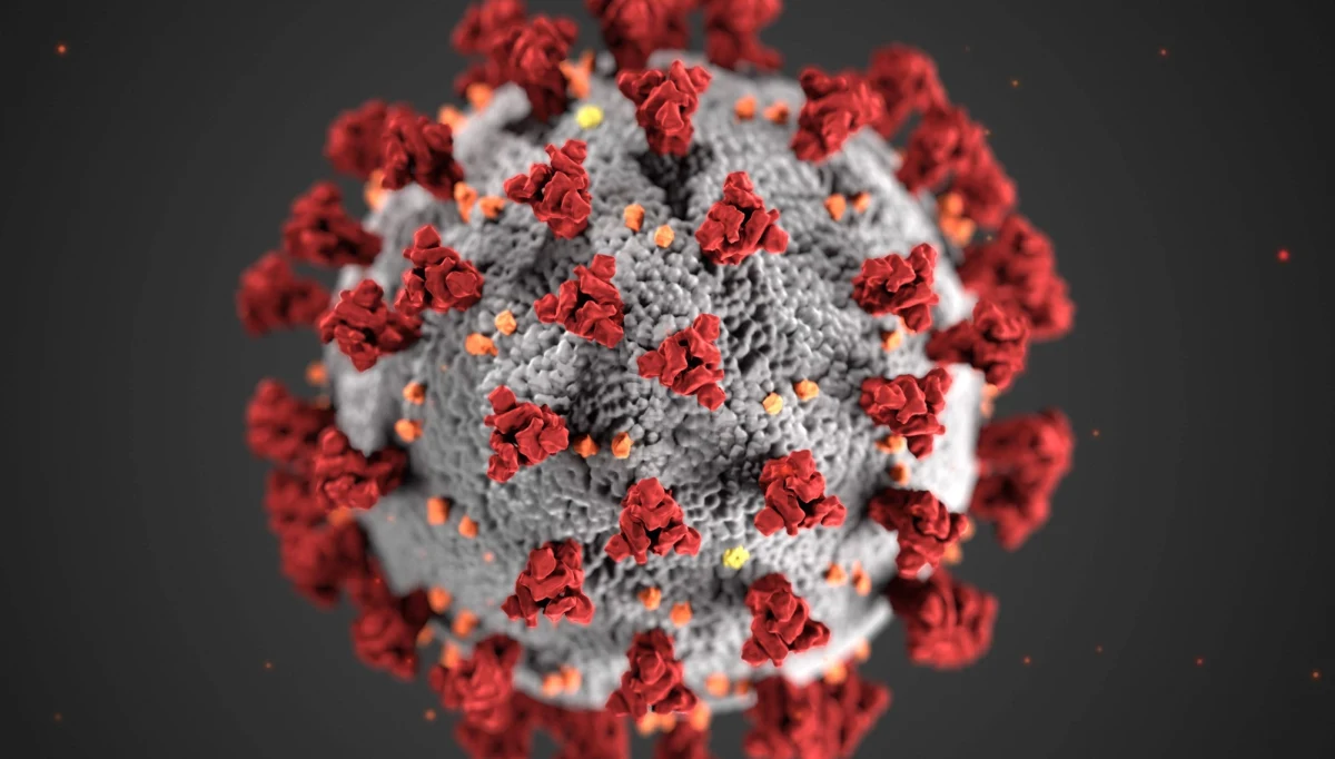 Od zakażenia koronawirusem do wystąpienia pierwszych objawów mija najczęściej około 5 dni - pisze na łamach czasopisma "Annals of Internal Medicine" grupa naukowców pod kierunkiem badaczy z Johns Hopkins Bloomberg School of Public Health. To przeciętnie o dwa dni dłużej niż w przypadku najzwyklejszego przeziębienia. Badania prowadzone na grupie 181 osób, które zdiagnozowano do 24 lutego, pokazały też, że u zdecydowanej większości zakażonych objawy powinny się pojawić nie później niż w 12 dniu. To oznacza, że wprowadzona powszechnie na świecie 14-dniowa kwarantanna jest skutecznym sposobem zapobiegania rozszerzaniu się epidemii choroby COVID-19.