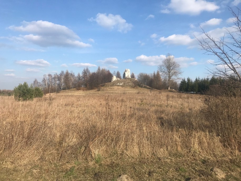 /Marcin Buczek /RMF FM