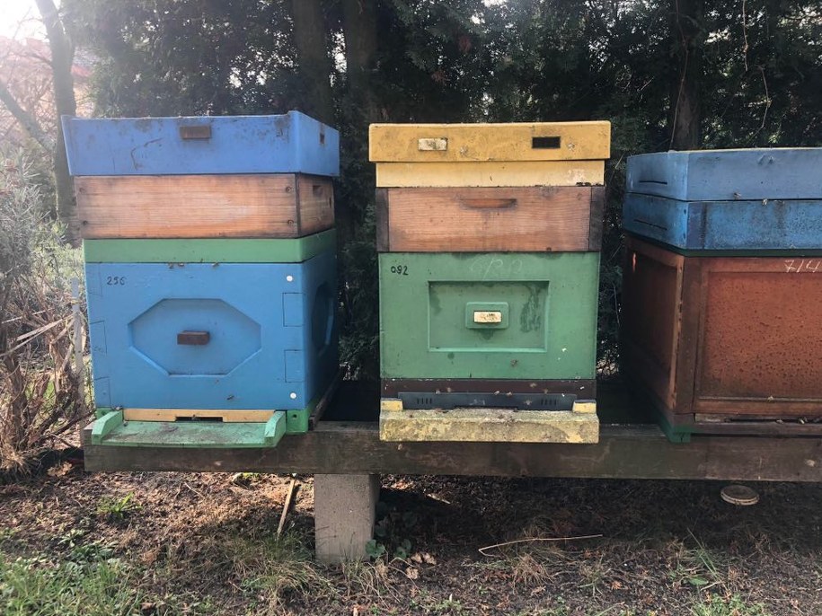 /Magdalena Grajnert /RMF FM