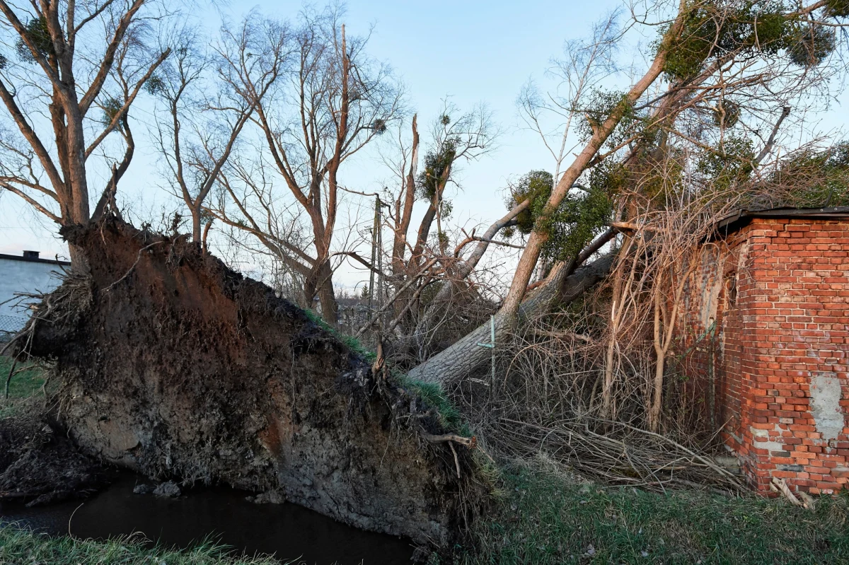 Instytut Meteorologii i Gospodarki Wodnej wydał w piątek rano ostrzeżenia pierwszego stopnia przed silnym wiatrem dla 13 województw. Wietrznie nie będzie tylko na Podlasiu, Warmii i Mazurach oraz w województwie opolskim.