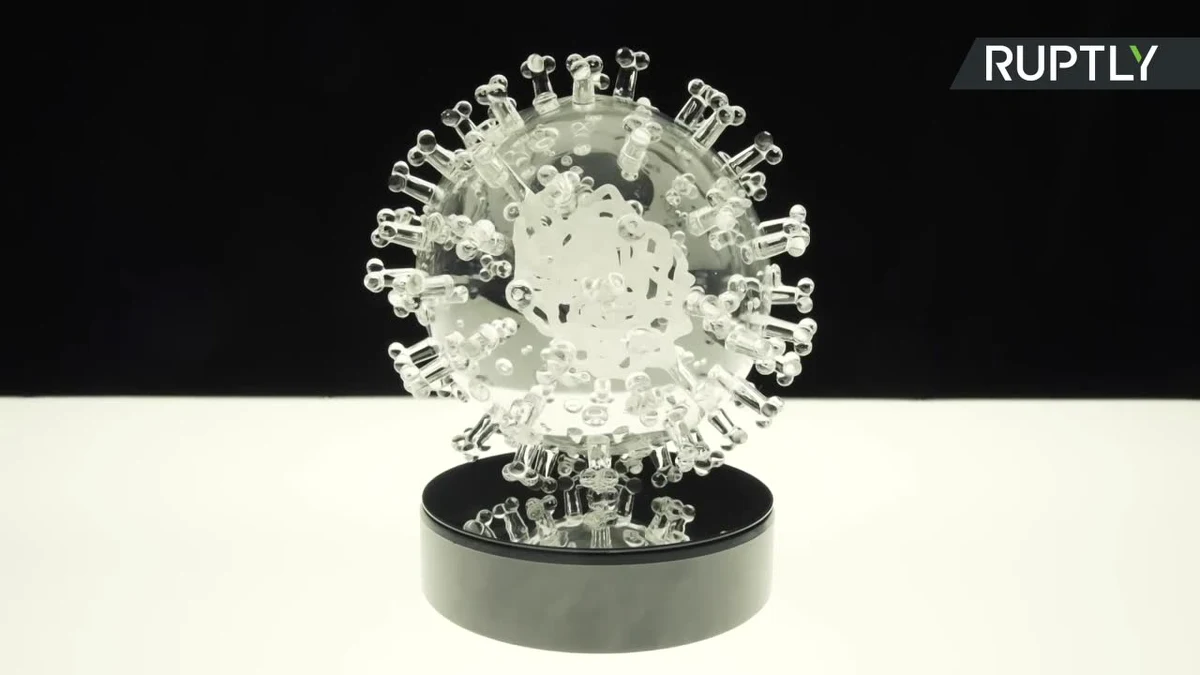 Brytyjski artysta Luke Jerram stworzył szklaną rzeźbę przedstawiającą koronawirusa. Zlecenie na wykonanie tego dzieła sztuki złożył Uniwersytet w Duke na wiele tygodni zanim epidemia koronawirusa przerodziła się w pandemię. Jak tłumaczył artysta, rzeźba miała symbolizować prace badawcze prowadzone przez uniwersytet nad nowym wirusem. Stworzona przez artystę rzeźba jest 2 miliony raza większa od koronawirusa.