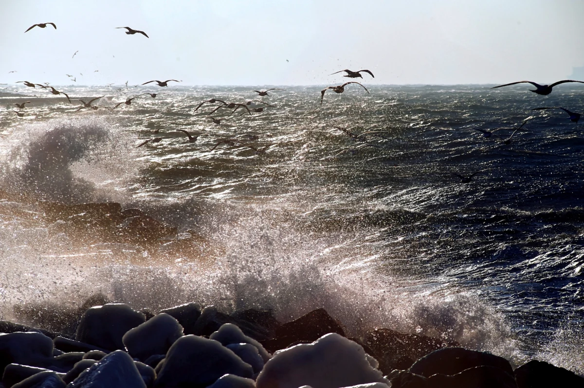 Burmistrz Helu Mirosław Wądołowski wysłał pismo do Wojewody Pomorskiego w sprawie wprowadzenia czasowego ograniczenia i zakazu wjazdu na Półwysep Helski dla osób przyjeżdżających w celach turystycznych i rekreacyjnych.