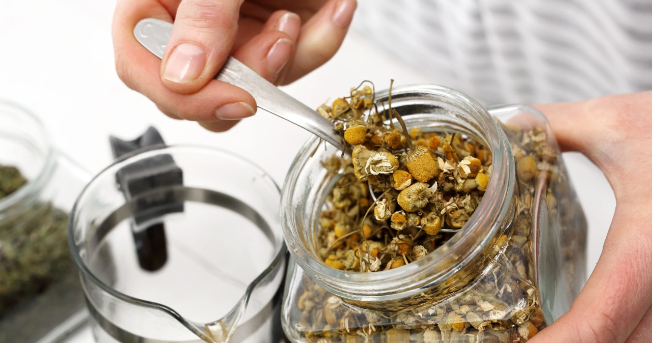 Zielarka mówi, które napary naprawdę działają, a na jakie uważać. "To potężna siła"