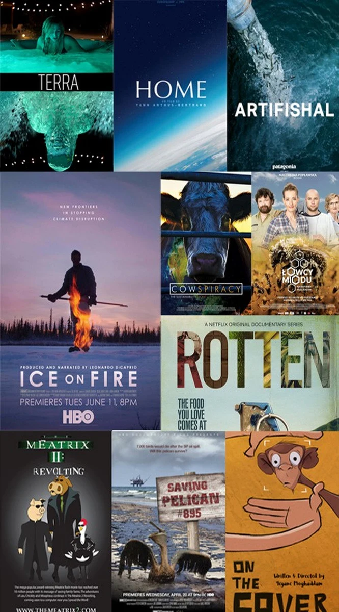 To doskonała propozycja na spędzenie czasu w domu! W sieci można oglądać za darmo najciekawsze filmy ekologiczne. Które warto zobaczyć? Oto rekomendacje organizatorów Kraków Film Green Festival. 